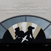 Silicon Valley Animal Control Authority